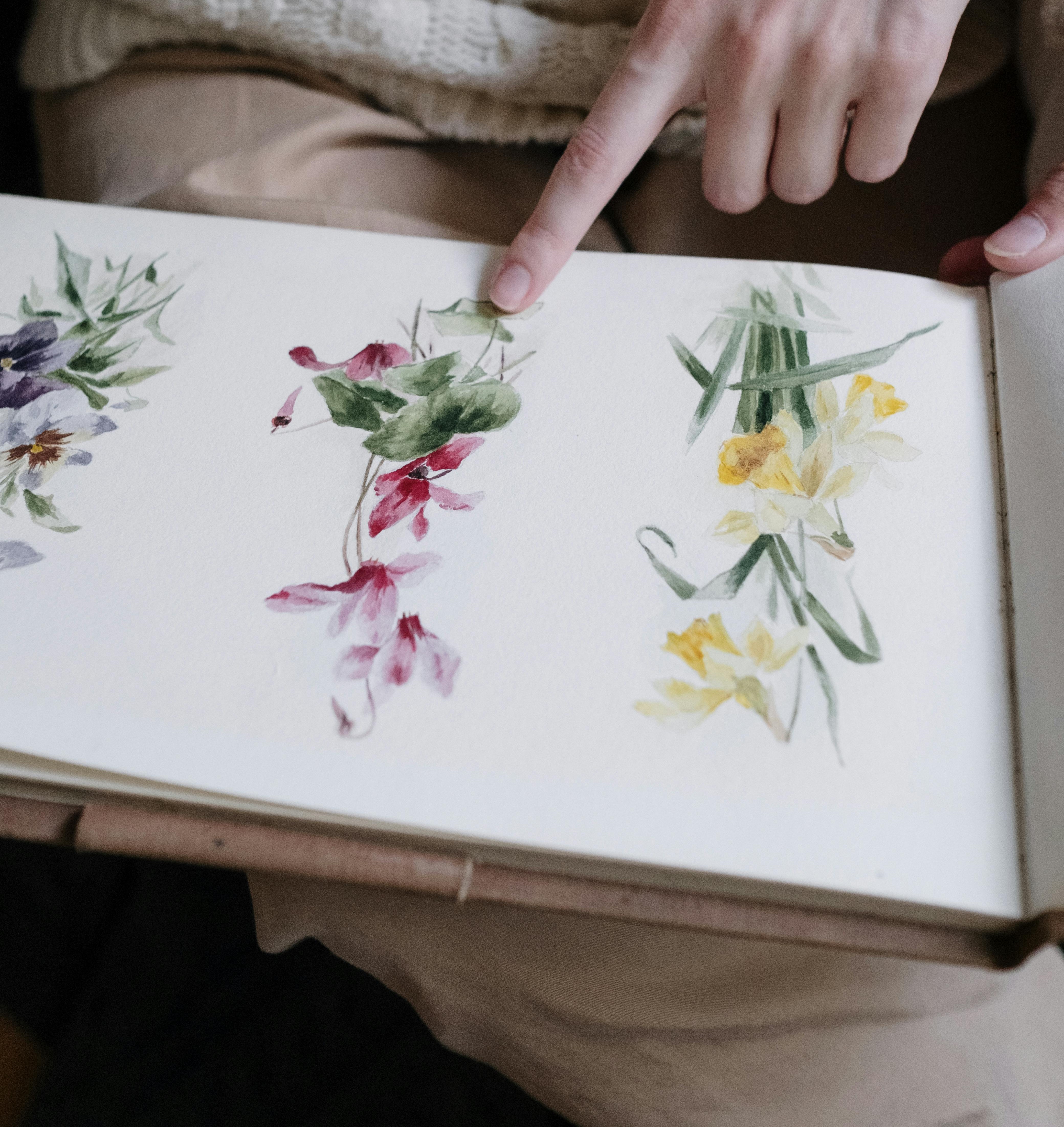 Catalogue distribution sample for Newcastle campaign